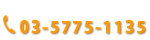 SUN MAX������ޥå����������ֹ桡03-5775-1135