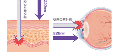 生体透過率が低い人体に影響のない紫外線