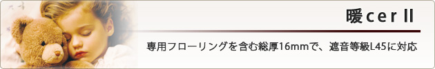 cerⅡʥ󥵡ġˡѥե󥰤ޤ16mmǡײL45б